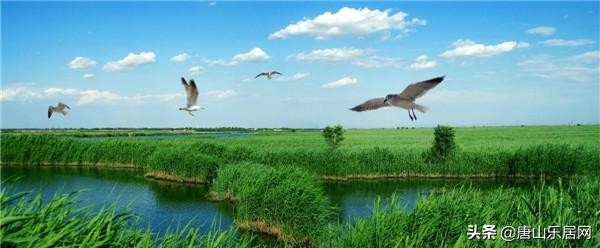 重磅！唐山恒大養(yǎng)生谷7月18日展廳盛大開(kāi)放引爆全城