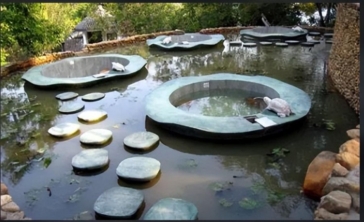 瓊臺(tái)福地：天賜海口的保健養(yǎng)生資源一