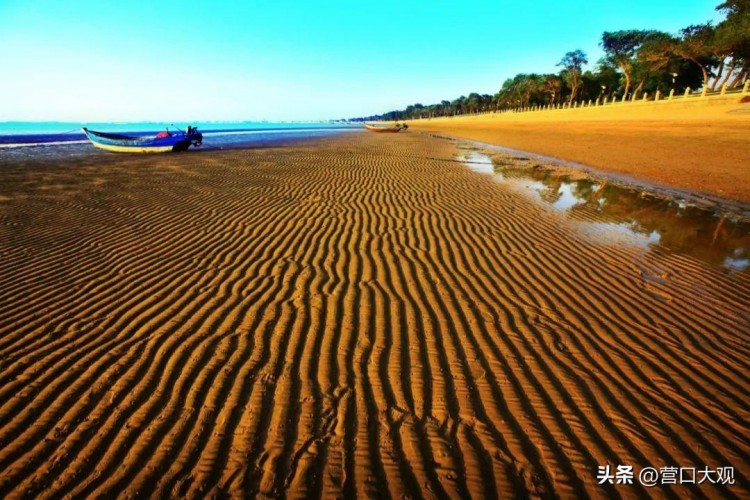 沿著河海遇見(jiàn)營(yíng)口的千帆美景