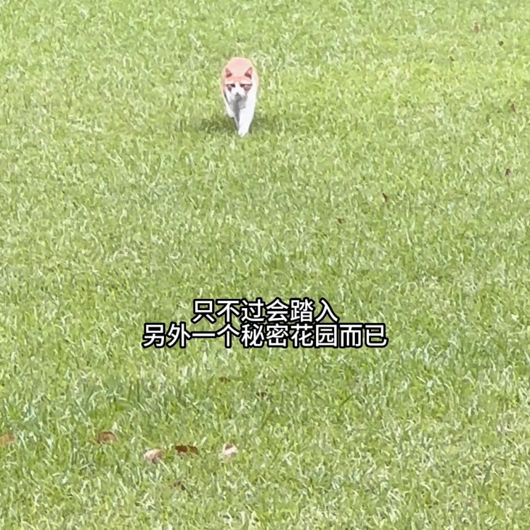 為大家嘗試過 做spa真的會上癮！！
