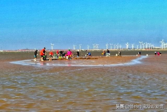 營(yíng)口10個(gè)周末休閑娛樂(lè)的建議你知道幾個(gè)
