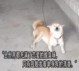 送花太out了情人節(jié)肇慶有人別出心裁包裹蒸送情人