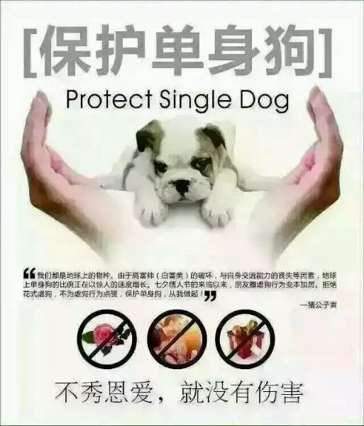送花太out了情人節(jié)肇慶有人別出心裁包裹蒸送情人