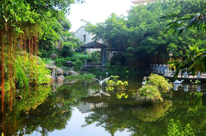 江門新會(huì)古兜溫泉小鎮(zhèn)｜離城市不遠(yuǎn)靠自然很近！大量美圖攻略