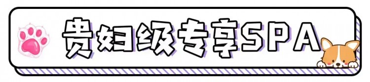 邯鄲這家寵物店竟然有這種福利99%的鏟屎君卻不知道！