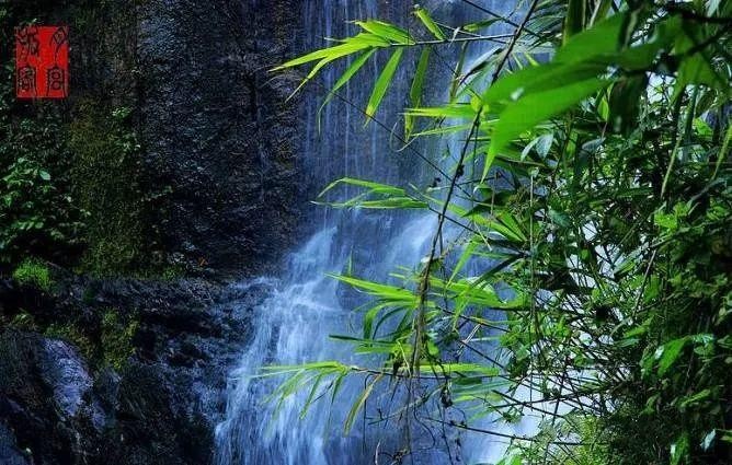 體驗(yàn)超強(qiáng)SPA！來肇慶這個(gè)地方給你的身體放個(gè)假！