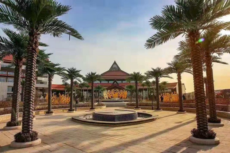 齊河山東之雄安濟(jì)南之浦東