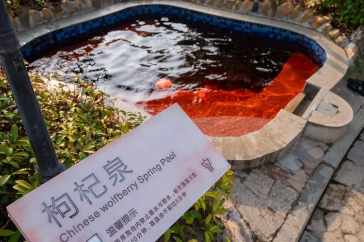 打開春天的正確方式江門這個優(yōu)質(zhì)溫泉區(qū)值得一去