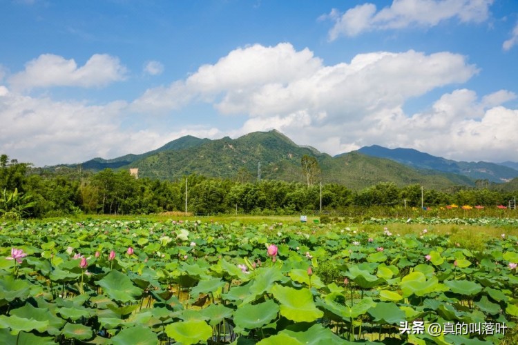 江門(mén)水世界酷爽來(lái)襲！清涼水上項(xiàng)目嗨翻夏日
