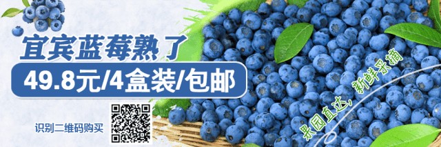 升級升級！宜賓超大水上公園開放！價格
