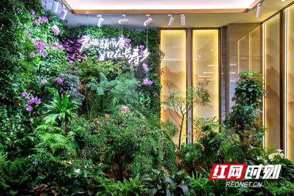 頤而康常德橋南·南金城店9月1日開(kāi)業(yè)將打造健康養(yǎng)生網(wǎng)紅店