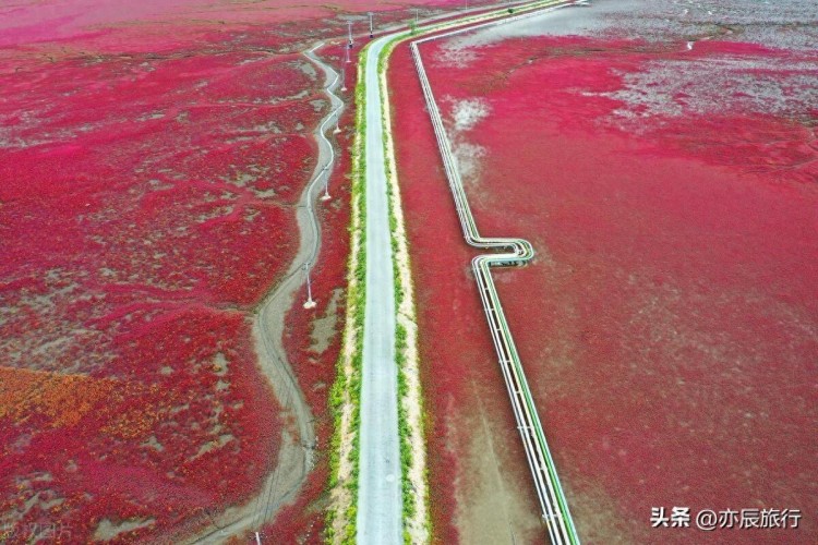 遼寧盤錦六大必游景點，2024年春節(jié)旅游最佳場所