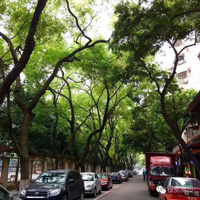 快點(diǎn)開(kāi)周末給你的眼睛和心靈做個(gè)SPA吧~