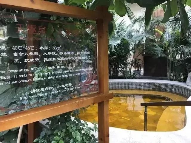 遼陽(yáng)碧湖溫泉實(shí)拍圖片！端午福利
