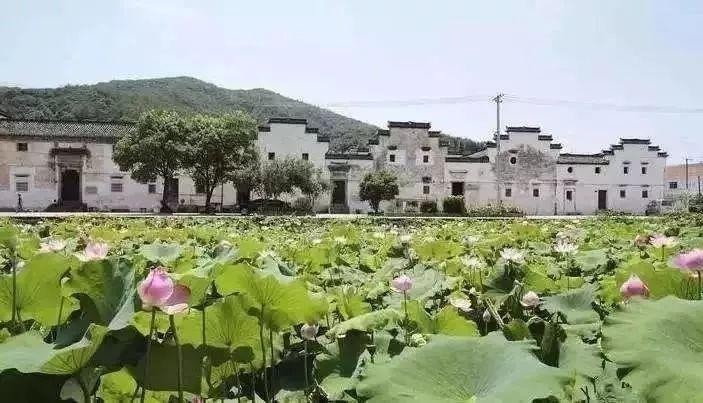別宅了！諸暨5日療休養(yǎng)精品路線在此浪起來~