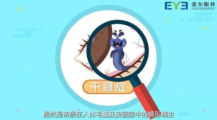明眸善睞顧盼生輝！——眼部SPA讓你的美睛彩綻放
