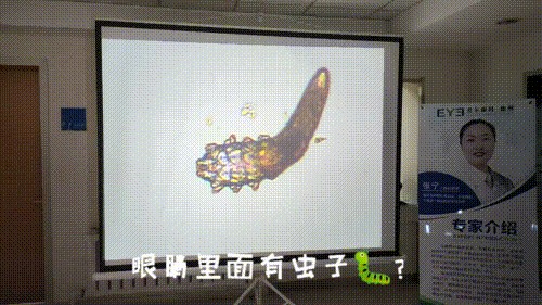 明眸善睞顧盼生輝！——眼部SPA讓你的美睛彩綻放