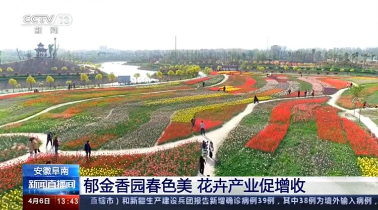 來一波2021春天的鮮花溫泉自駕游吧！坐標阜南縣田集鎮(zhèn)