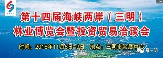「文中有驚喜」三明首家室內(nèi)高爾夫會所開業(yè)啦！你離高大上只有一根球桿的距離！