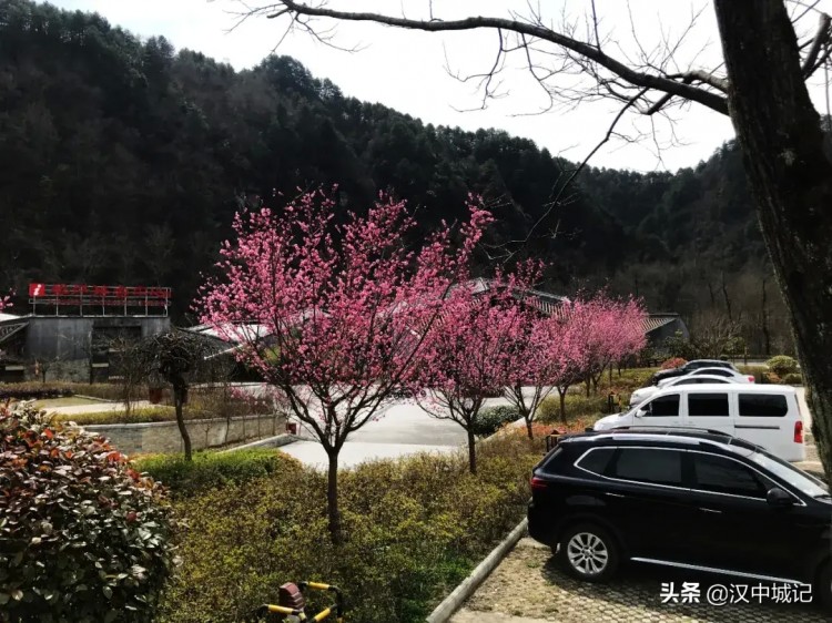 漢中春已到！是時(shí)候來(lái)黎坪做一場(chǎng)康養(yǎng)spa了！