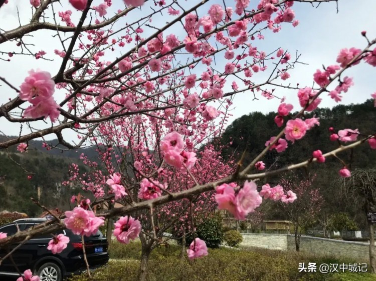 漢中春已到！是時(shí)候來(lái)黎坪做一場(chǎng)康養(yǎng)spa了！