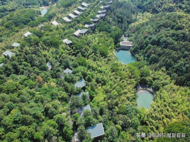 實(shí)拍溧陽山野溫泉酒店不僅樹屋別出心裁足不出戶就可享受溫泉