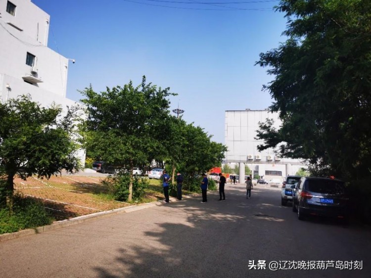葫蘆島：享受太陽浴貴在堅持