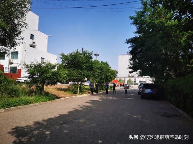 葫蘆島：享受太陽浴貴在堅持