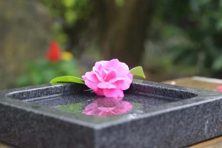 豐順之地溫泉之鄉(xiāng)君瀾打造粵東溫泉度假標(biāo)桿