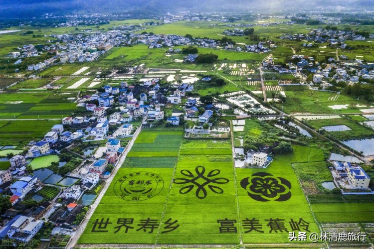 養(yǎng)老過冬就來梅州！被譽為世界長壽之都環(huán)境佳常住對身體好