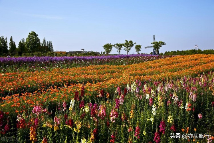 湖北孝感6個(gè)最佳旅游景點(diǎn)孝感周邊好玩的地方推薦
