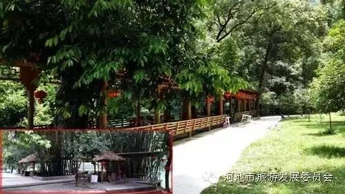 推薦|519我想和你一起去河池吹吹風(fēng)~