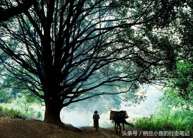在云南和順柏聯(lián)酒店享受一場溫泉SPA才是冬天最正確的打開方式