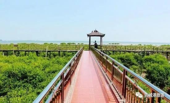 2019最強防城港大全來了！承包你一整年的旅行！