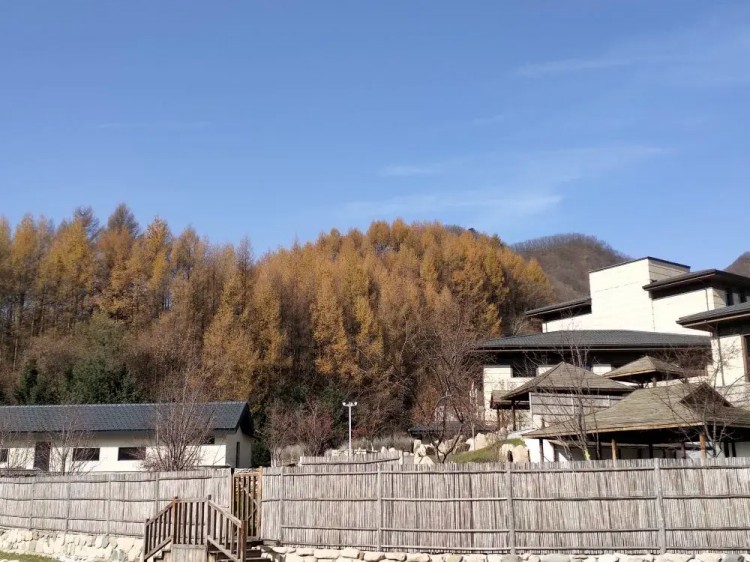 本溪縣雲(yún)溪七養(yǎng)溫泉民宿：打造湯養(yǎng)新境界