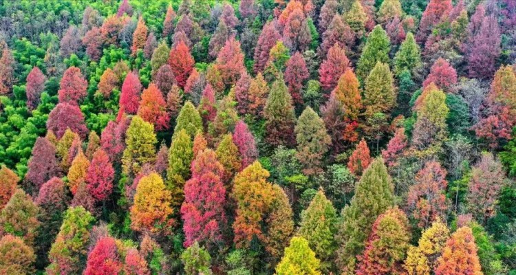 國家認(rèn)證！慢生活休閑養(yǎng)生就來鷹潭
