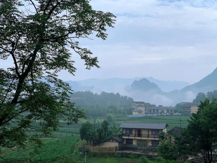 雪可賞雨可觀風(fēng)可吟月可弄張家界梓山民宿
