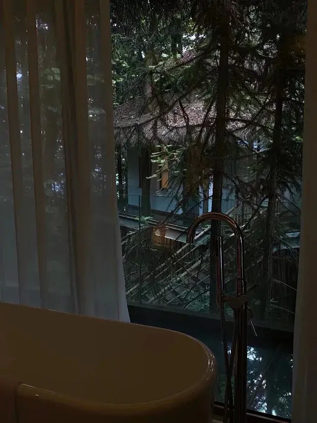 雪可賞雨可觀風(fēng)可吟月可弄張家界梓山民宿