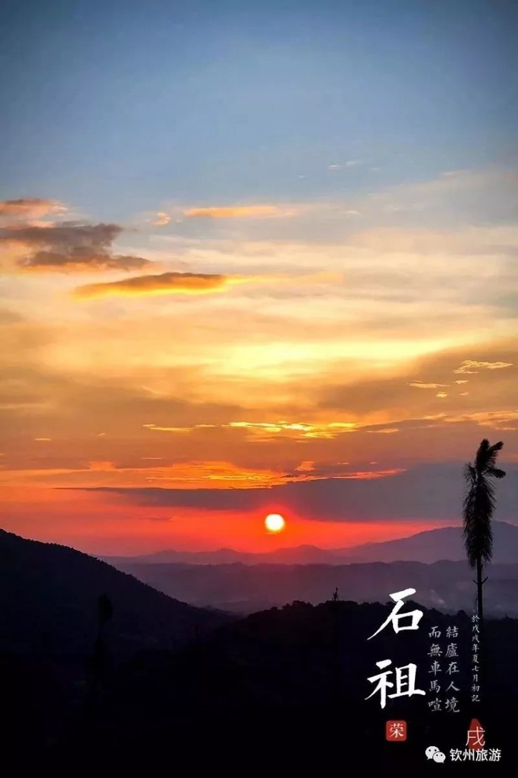 推薦|聽說欽州有一處森林養(yǎng)生基地可以讓你躲過炎炎夏日