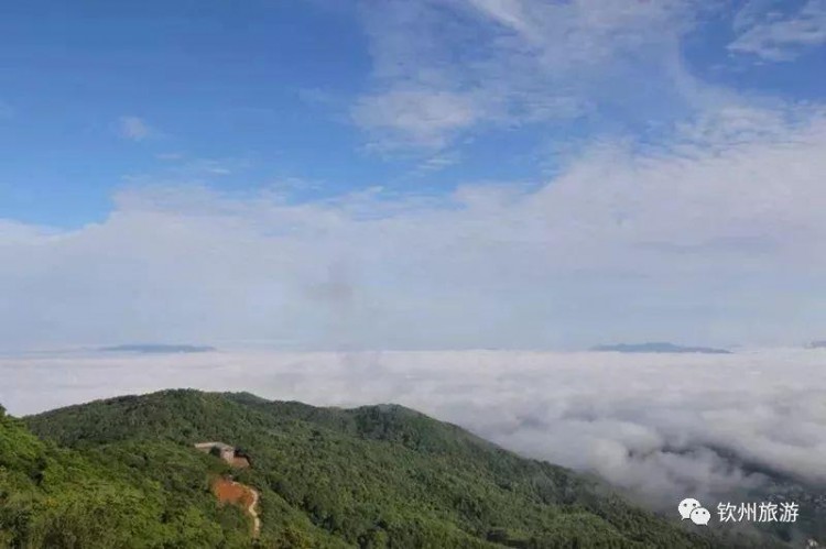 推薦|聽說欽州有一處森林養(yǎng)生基地可以讓你躲過炎炎夏日