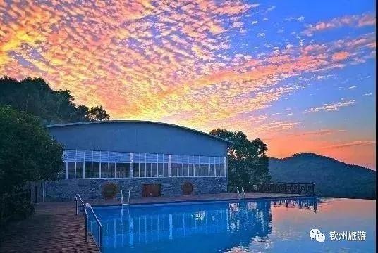 推薦|聽說欽州有一處森林養(yǎng)生基地可以讓你躲過炎炎夏日