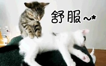 去一次就會(huì)難忘金堂這家養(yǎng)生館很舒服