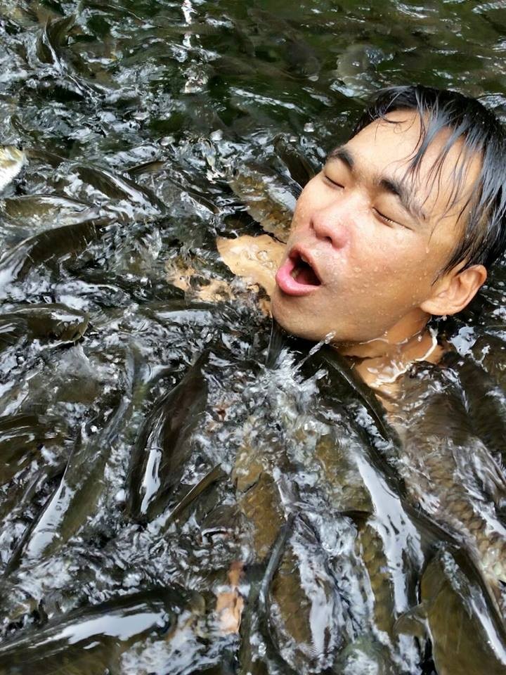 這一定是世界上最瘋狂的魚SPA了內(nèi)心不夠強大真心不敢嘗試