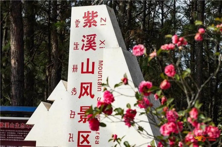 這篇文章告訴你留在楚雄過年的N個(gè)理由~