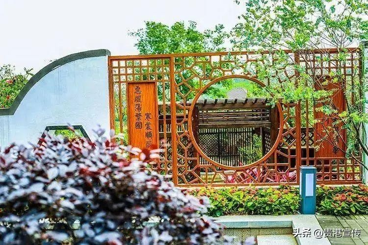 在貴港泡著溫泉賞冬景！這樣的冬天才夠浪漫