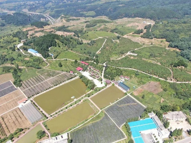 康養(yǎng)+旅游：畢節(jié)有一個很爽的地方