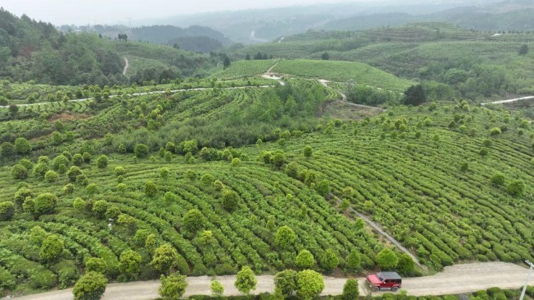 康養(yǎng)+旅游：畢節(jié)有一個很爽的地方