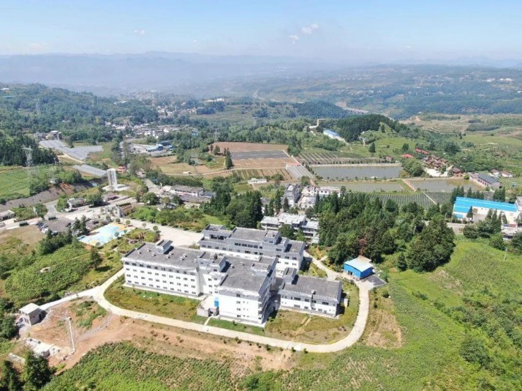 康養(yǎng)+旅游：畢節(jié)有一個很爽的地方