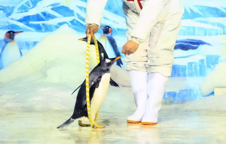 冰雪淡季NO！春雪季的冰城室內(nèi)好玩的賊多還有各種大禮包