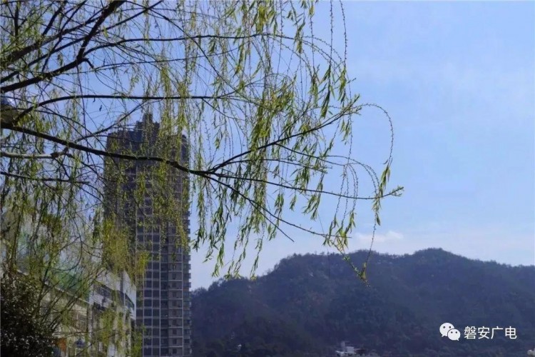 浙江首批！小清新磐安全省出名來這里做氧氣SPA！